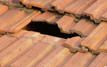 roof repair Cenin, Gwynedd